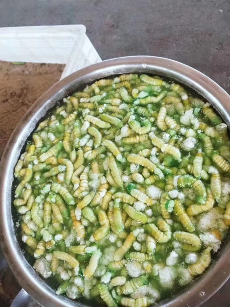 连云港特色美食，灌云豆丹一瓶包邮