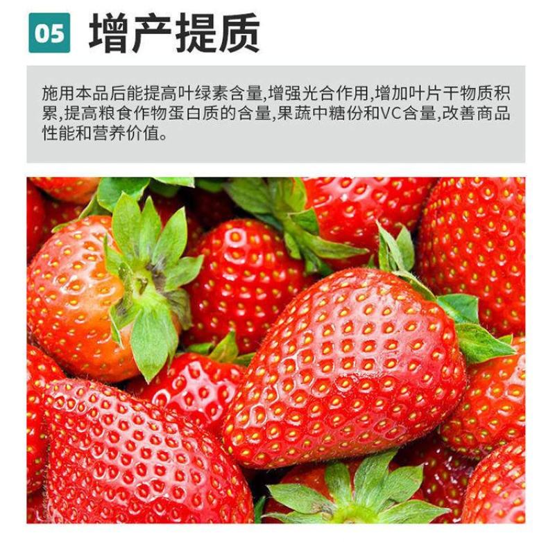 海藻膨果鱼蛋白增产桶装肥瓜果蔬菜柑橘水溶肥防裂果