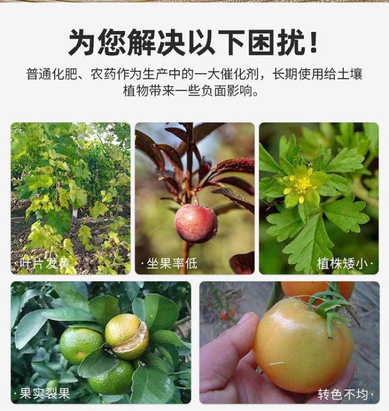 海藻膨果鱼蛋白增产桶装肥瓜果蔬菜柑橘水溶肥防裂果