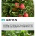 海藻膨果鱼蛋白增产桶装肥瓜果蔬菜柑橘水溶肥防裂果