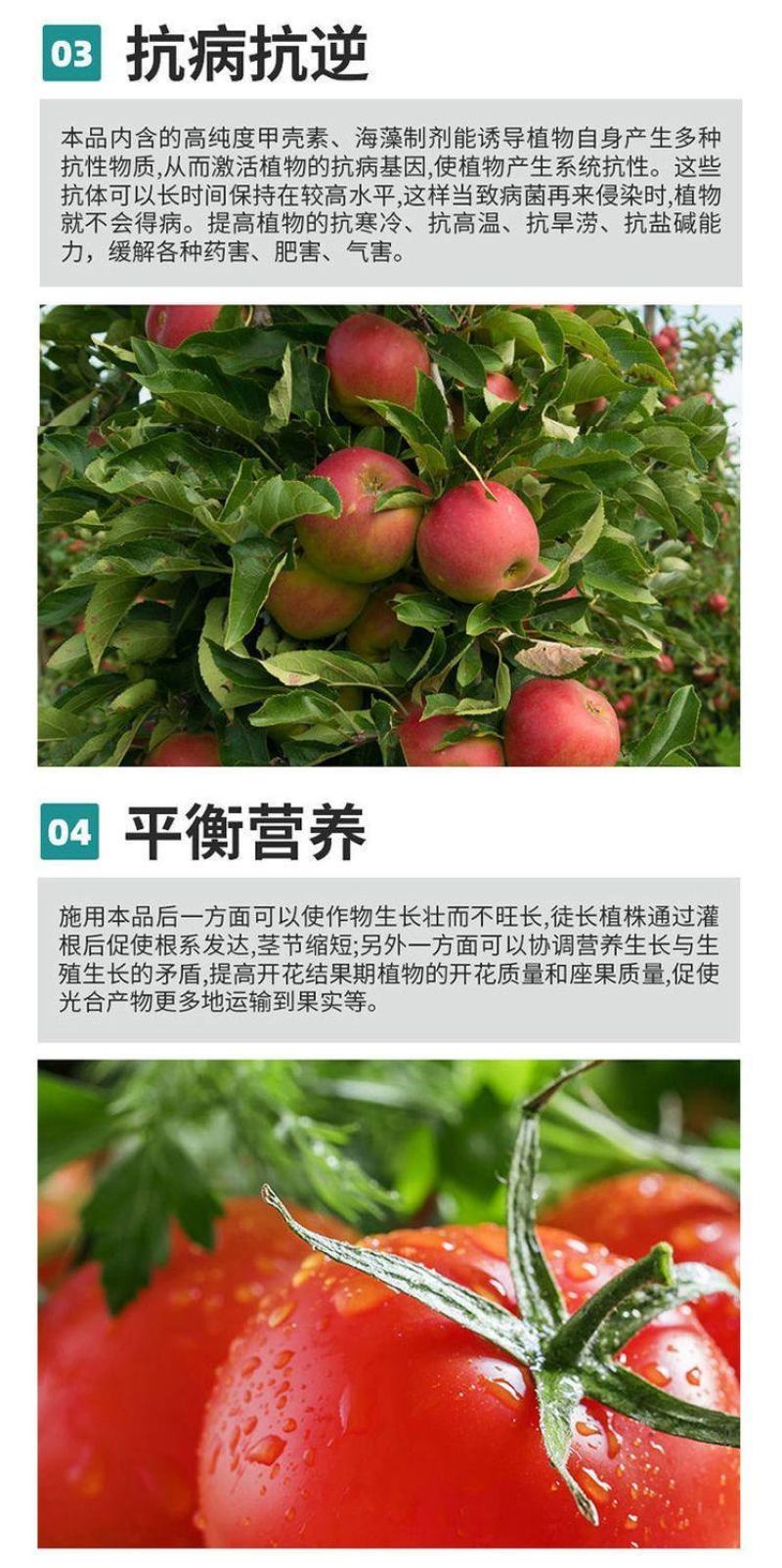 海藻膨果鱼蛋白增产桶装肥瓜果蔬菜柑橘水溶肥防裂果