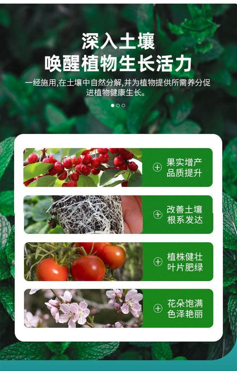 海藻膨果鱼蛋白增产桶装肥瓜果蔬菜柑橘水溶肥防裂果