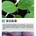 海藻膨果鱼蛋白增产桶装肥瓜果蔬菜柑橘水溶肥防裂果