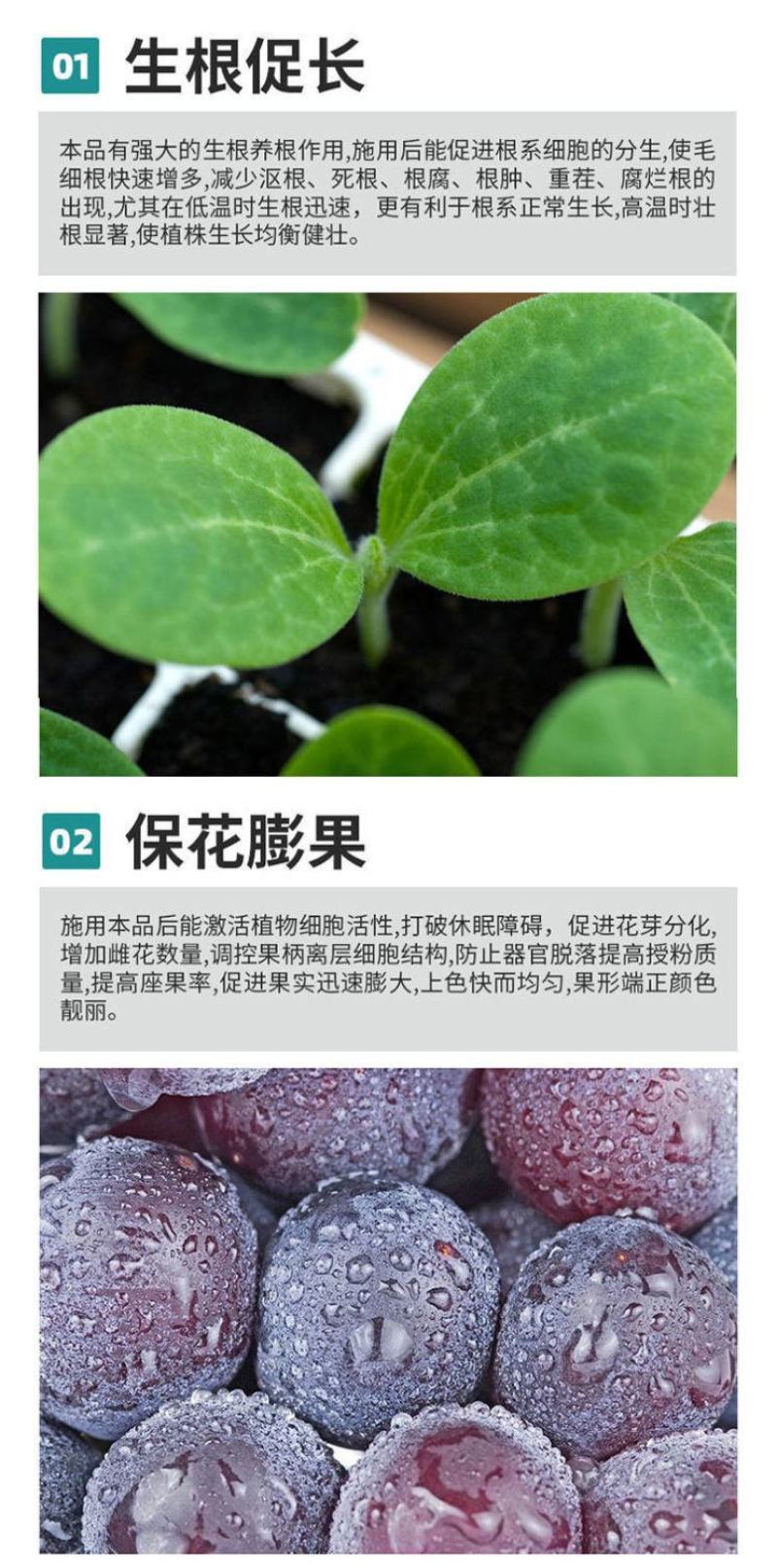 海藻膨果鱼蛋白增产桶装肥瓜果蔬菜柑橘水溶肥防裂果