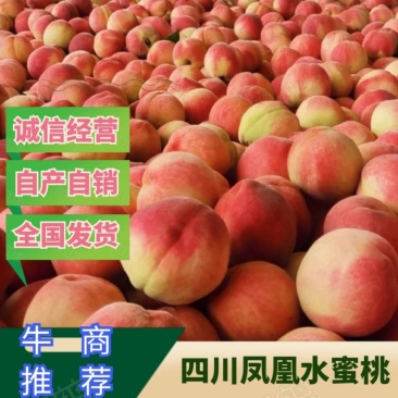 【牛商推荐】四川凤凰水蜜桃桃子产地直发，全国代发