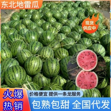 东北吉林西瓜,地雷瓜二茬瓜,落秧瓜,适合各个低端市场
