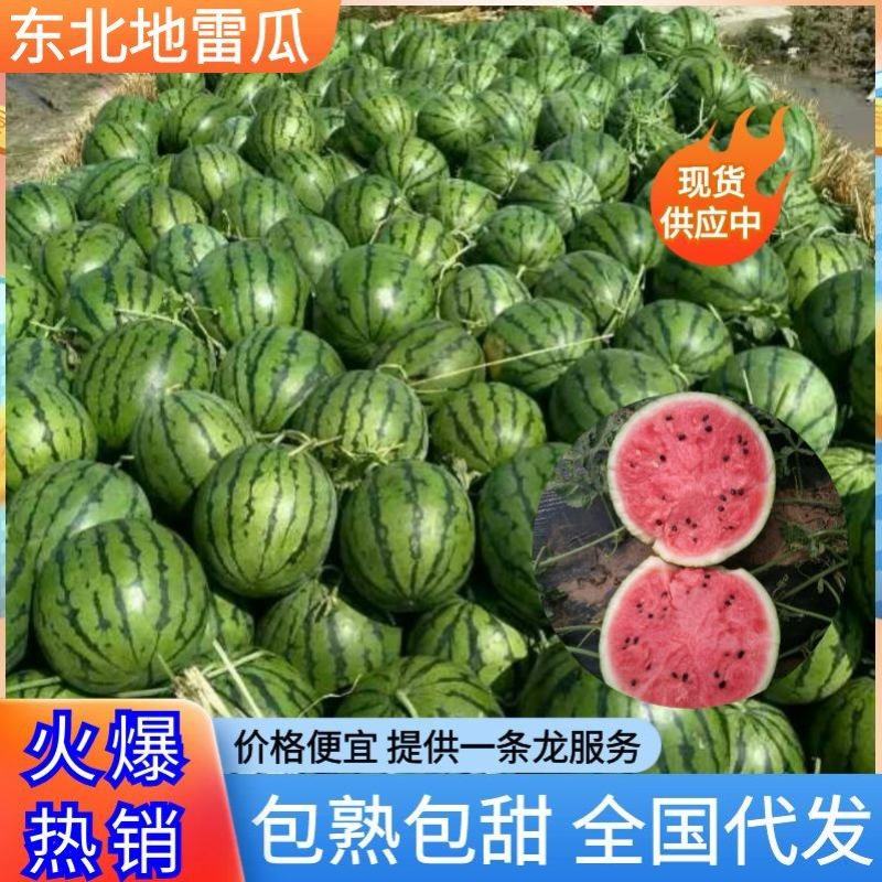 东北吉林西瓜，地雷瓜二茬瓜，落秧瓜，适合各个低端市场
