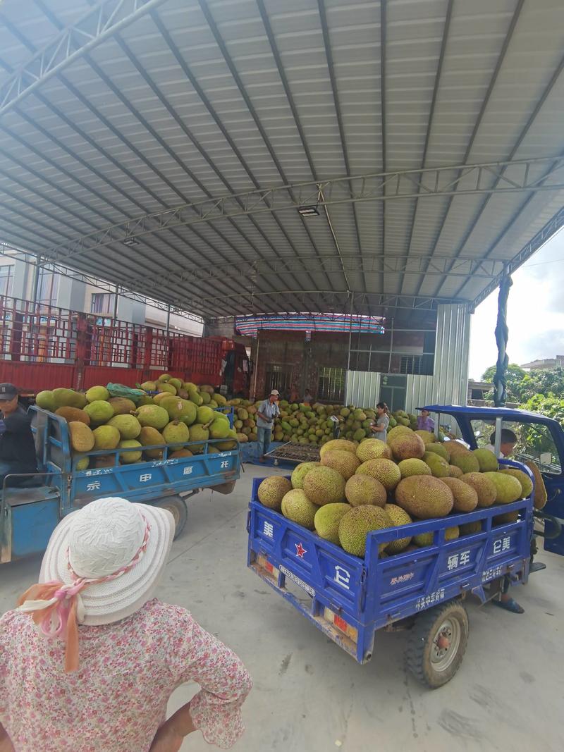 菠萝蜜市场，电商，社区团购场地直供一手货源来电咨询