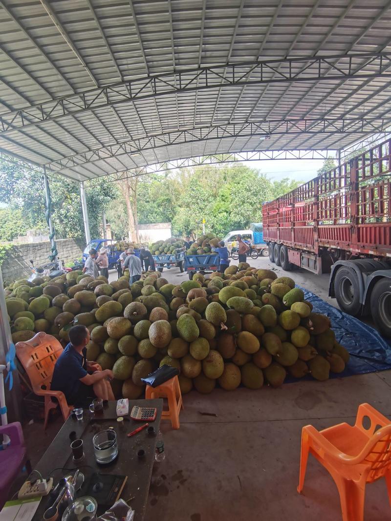 菠萝蜜市场，电商，社区团购场地直供一手货源来电咨询
