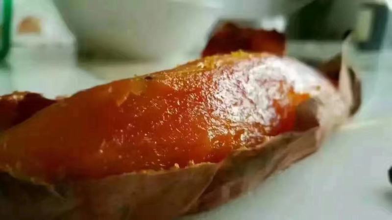 【精选】烟薯25.蜜薯.河北烟薯25.河北蜜薯糖化