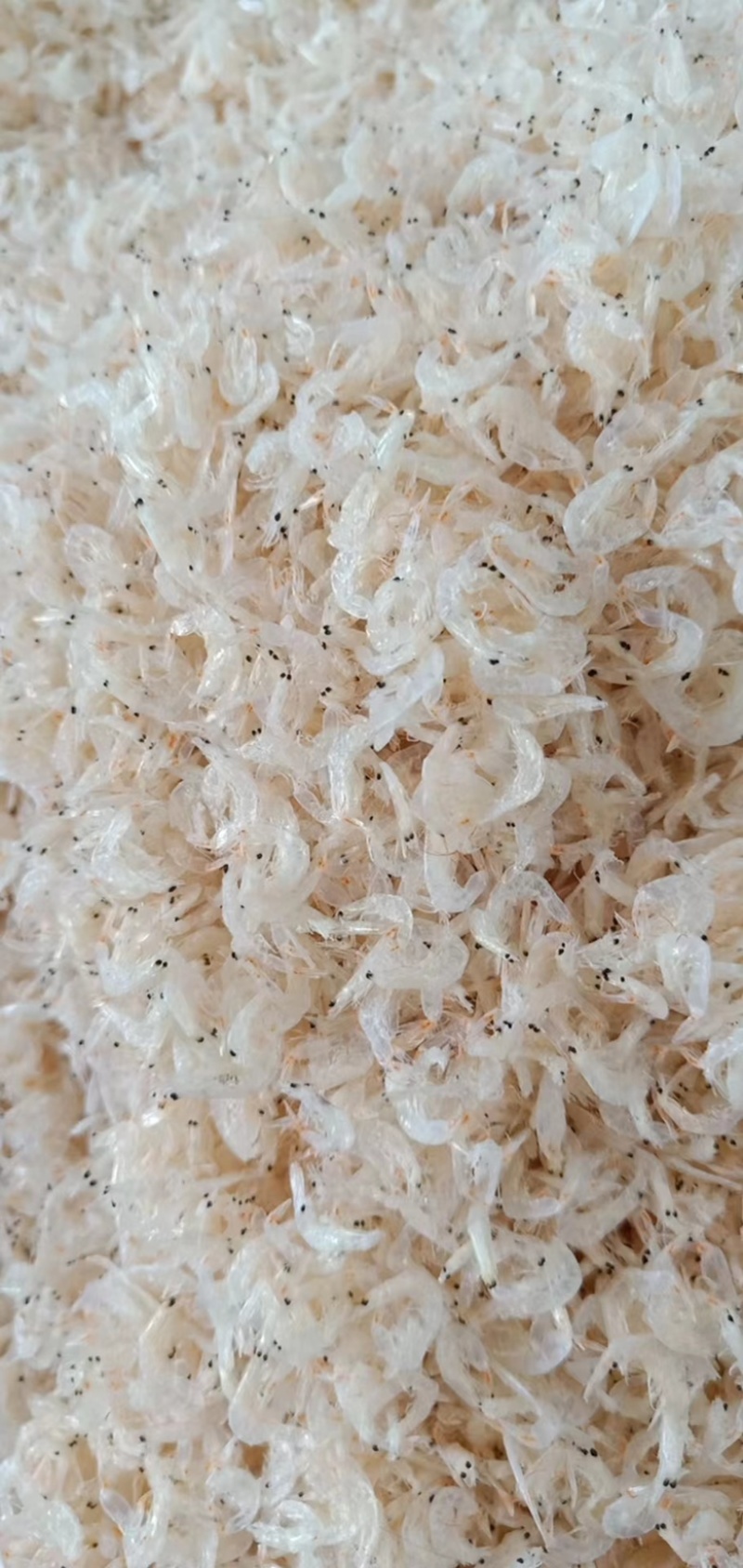 淡干无盐足干虾皮。产地直发规格齐全。
