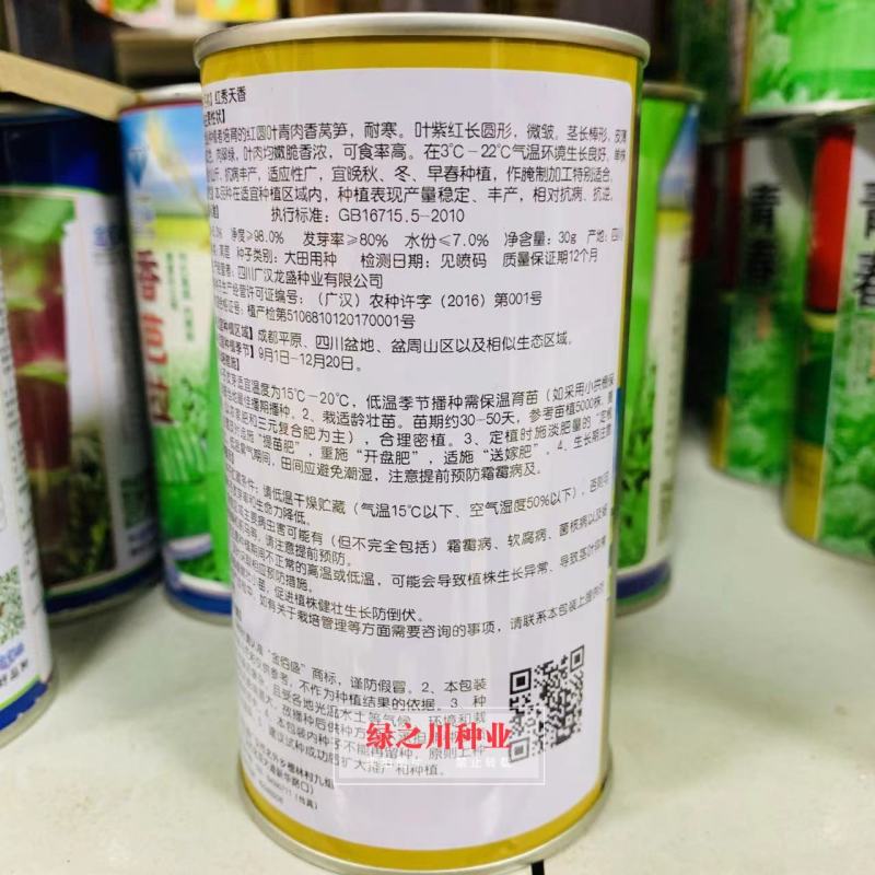 红秀天香晚秋冬主栽红圆叶莴笋种子绿肉香莴笋莴苣种子耐寒