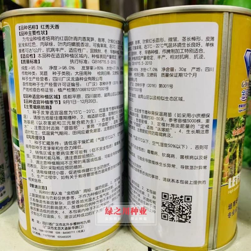 红秀天香晚秋冬主栽红圆叶莴笋种子绿肉香莴笋莴苣种子耐寒