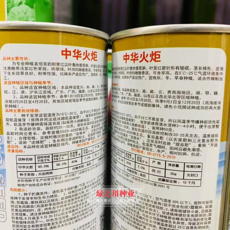 中华火炬莴笋种子红皮红尖叶青肉香莴苣种籽圆叶抗寒莴笋种孑