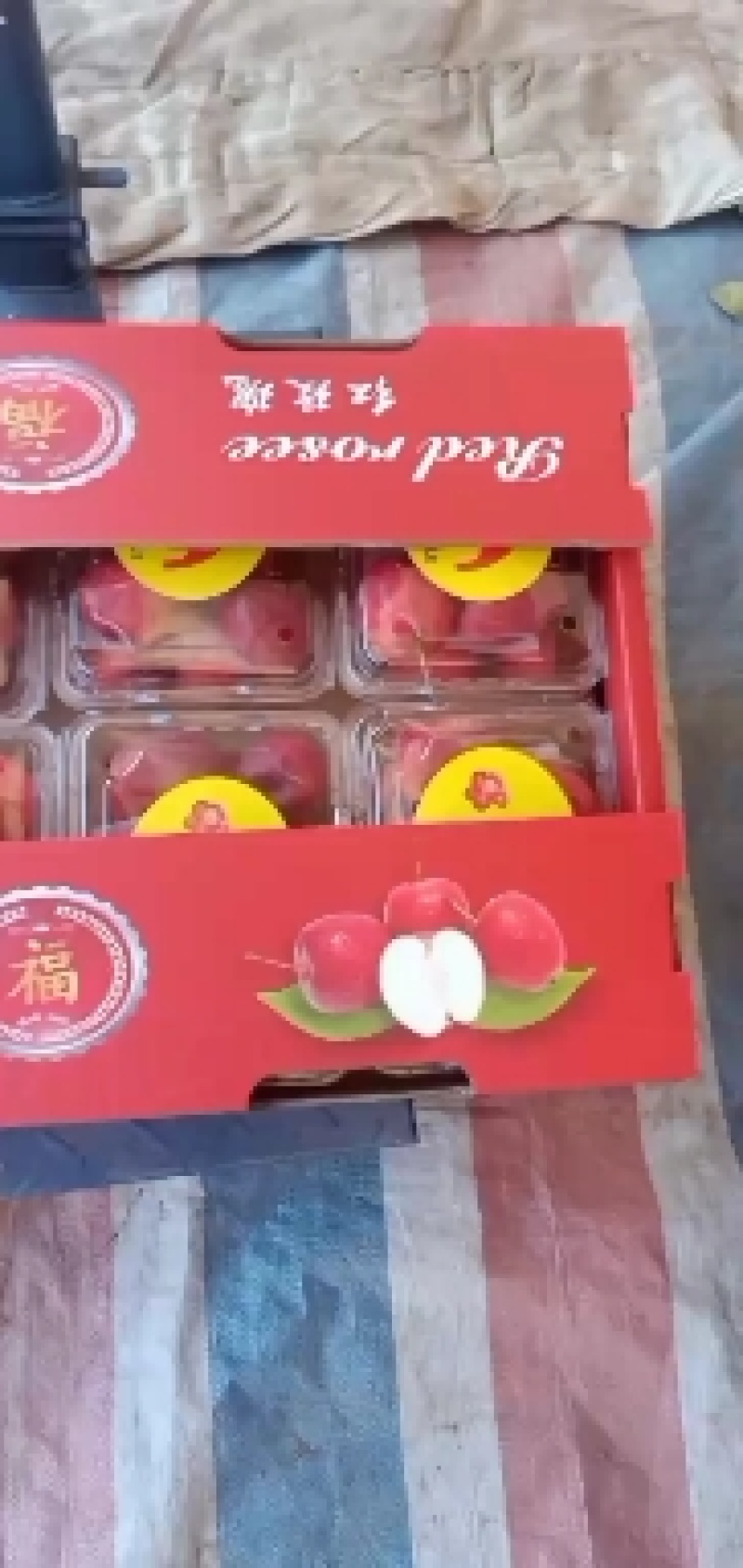 鸡心果预定中