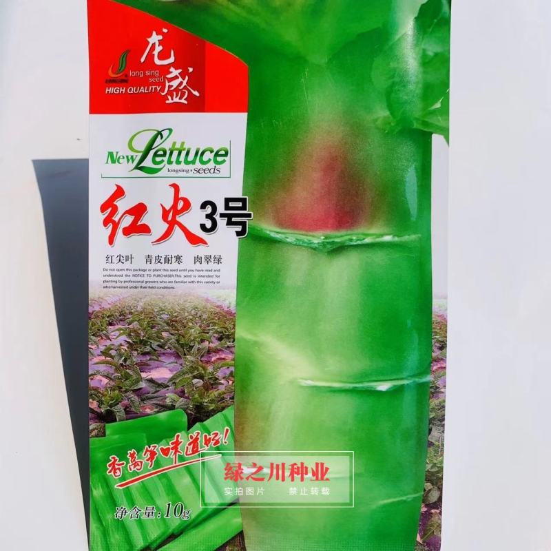 红火3号红尖叶香莴笋种子青红尖叶高桩莴苣种子，节稀耐寒