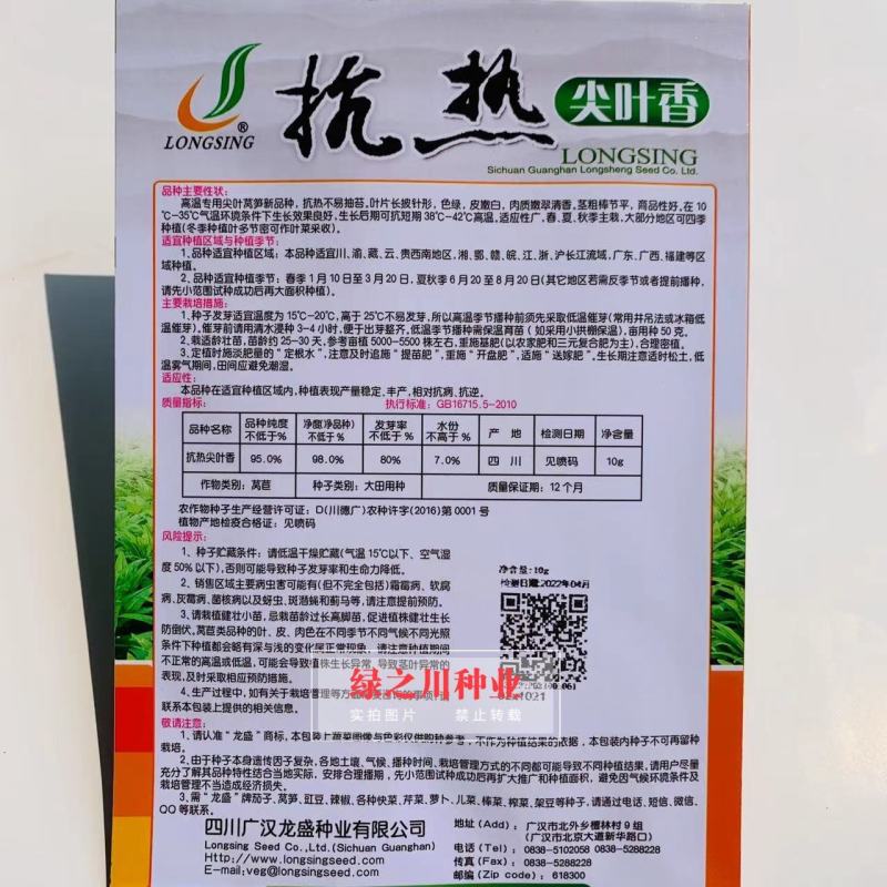 抗热尖叶香莴笋种子耐热莴苣种籽春夏秋主栽香莴笋种子