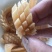 龙鳞花，鱿鱼花