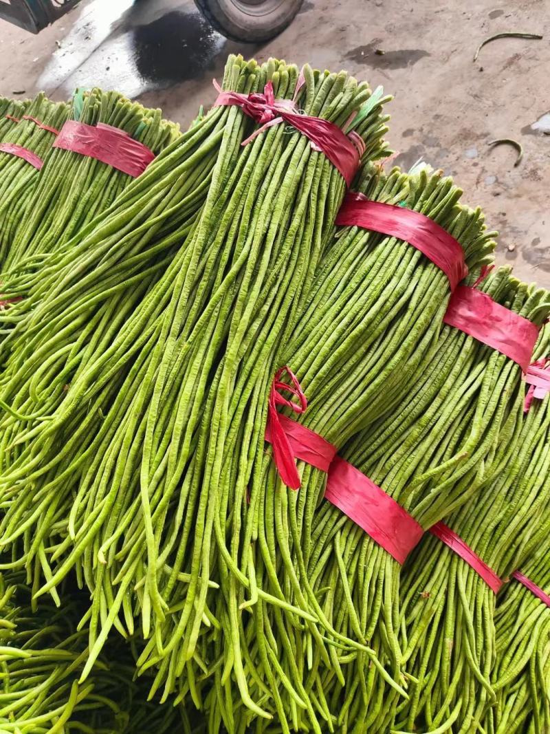 【推荐】精品长豆角，颜色翠绿产地直供代发全国市场商超量大