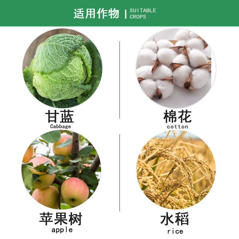 先正达亮泰阿维菌素氯虫苯甲酰胺甜菜夜蛾菜青虫农药杀虫剂