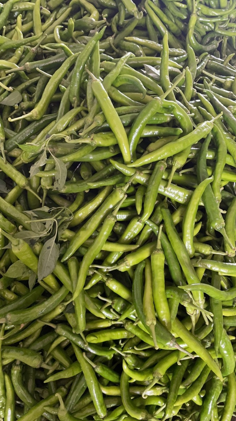 尖椒精品和酱菜厂里面的价格美丽，