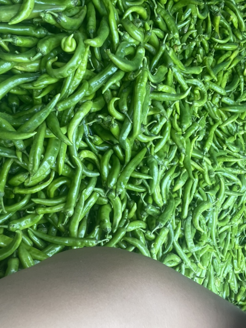 尖椒精品和酱菜厂里面的价格美丽，