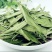 甜叶菊精品甜叶菊中药材批发甜叶菊量大从优质量保证