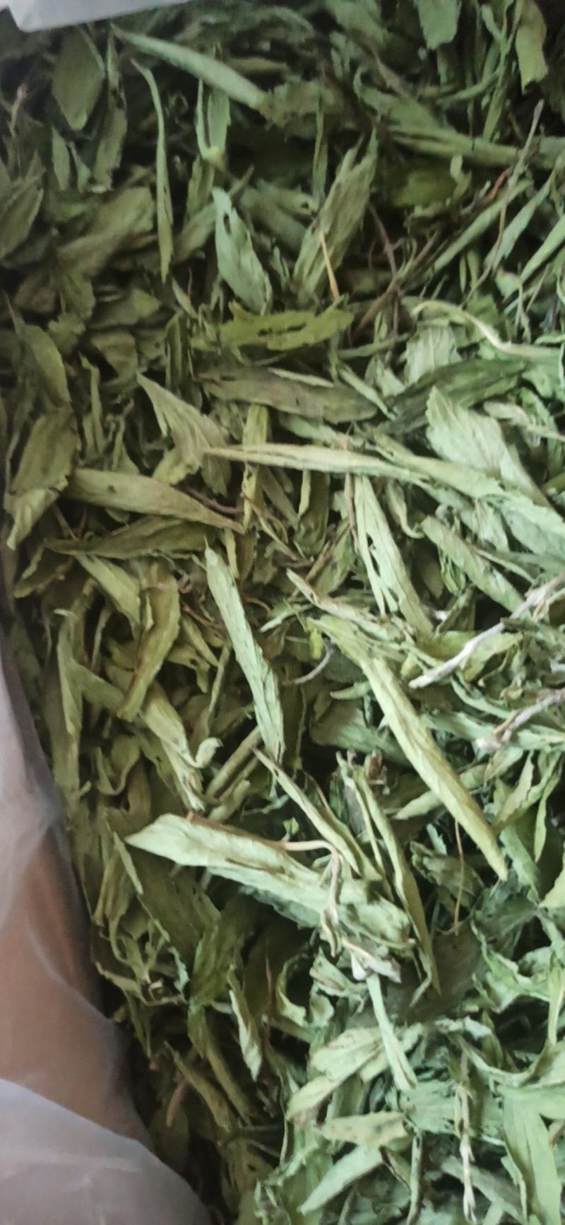甜叶菊精品甜叶菊中药材批发甜叶菊量大从优质量保证