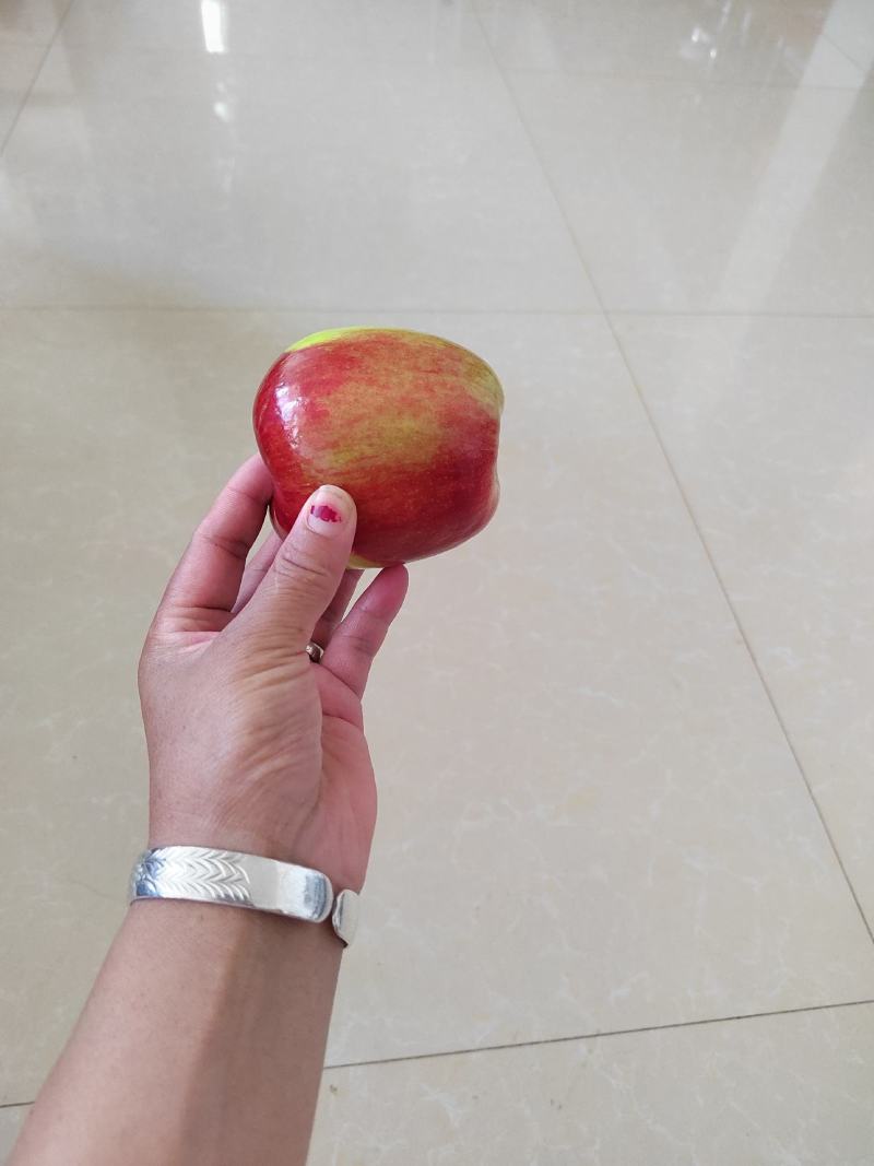 欢迎各位老板的光临，昭阳区早熟苹果已上市，这个是华硕苹果