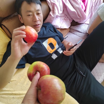 欢迎各位老板的光临，昭阳区早熟苹果已上市，这个是华硕苹果