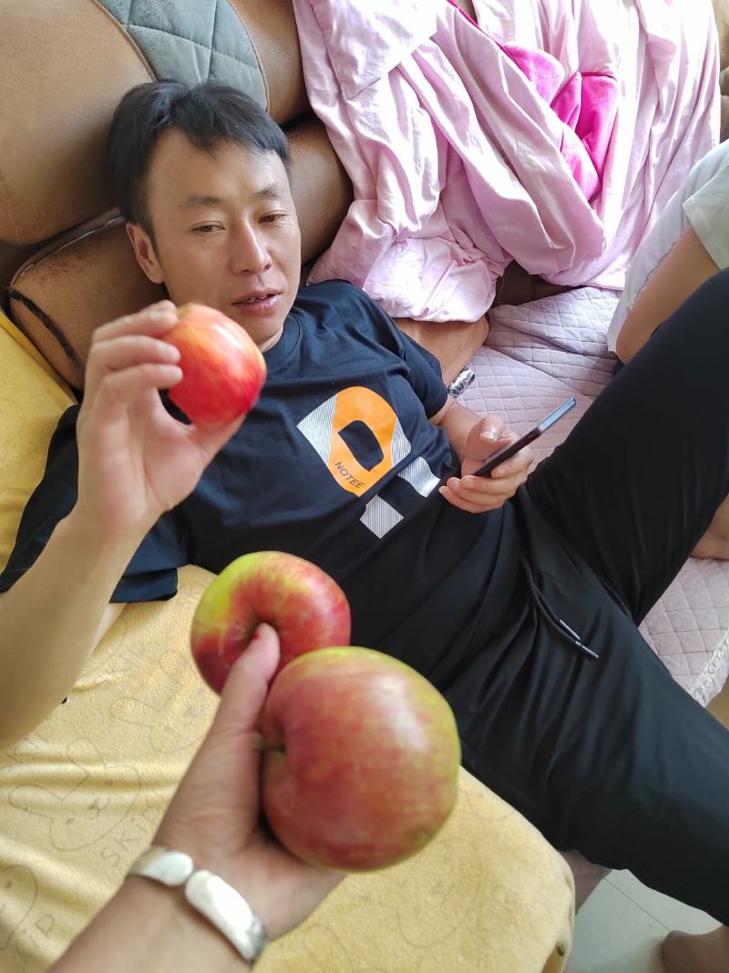 欢迎各位老板的光临，昭阳区早熟苹果已上市，这个是华硕苹果