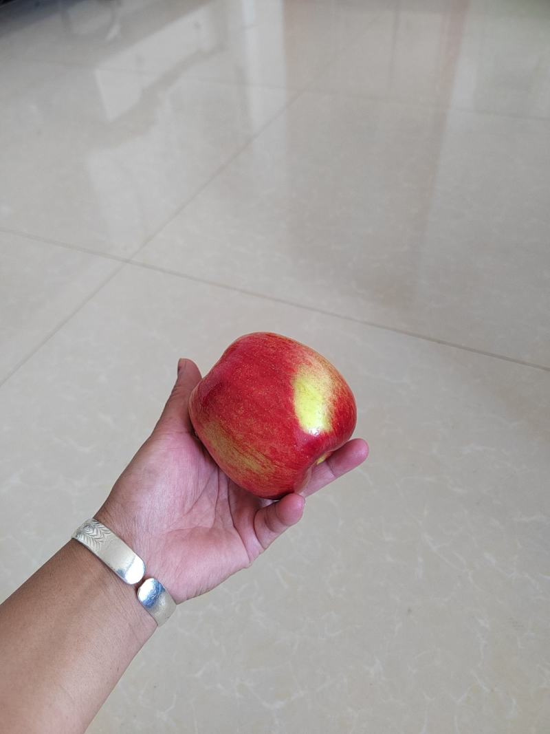 欢迎各位老板的光临，昭阳区早熟苹果已上市，这个是华硕苹果