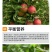 膨果增产桶装肥瓜果蔬菜肥柑橘水溶肥高钙高钾中量元素冲施肥