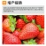 膨果增产桶装肥瓜果蔬菜肥柑橘水溶肥高钙高钾中量元素冲施肥