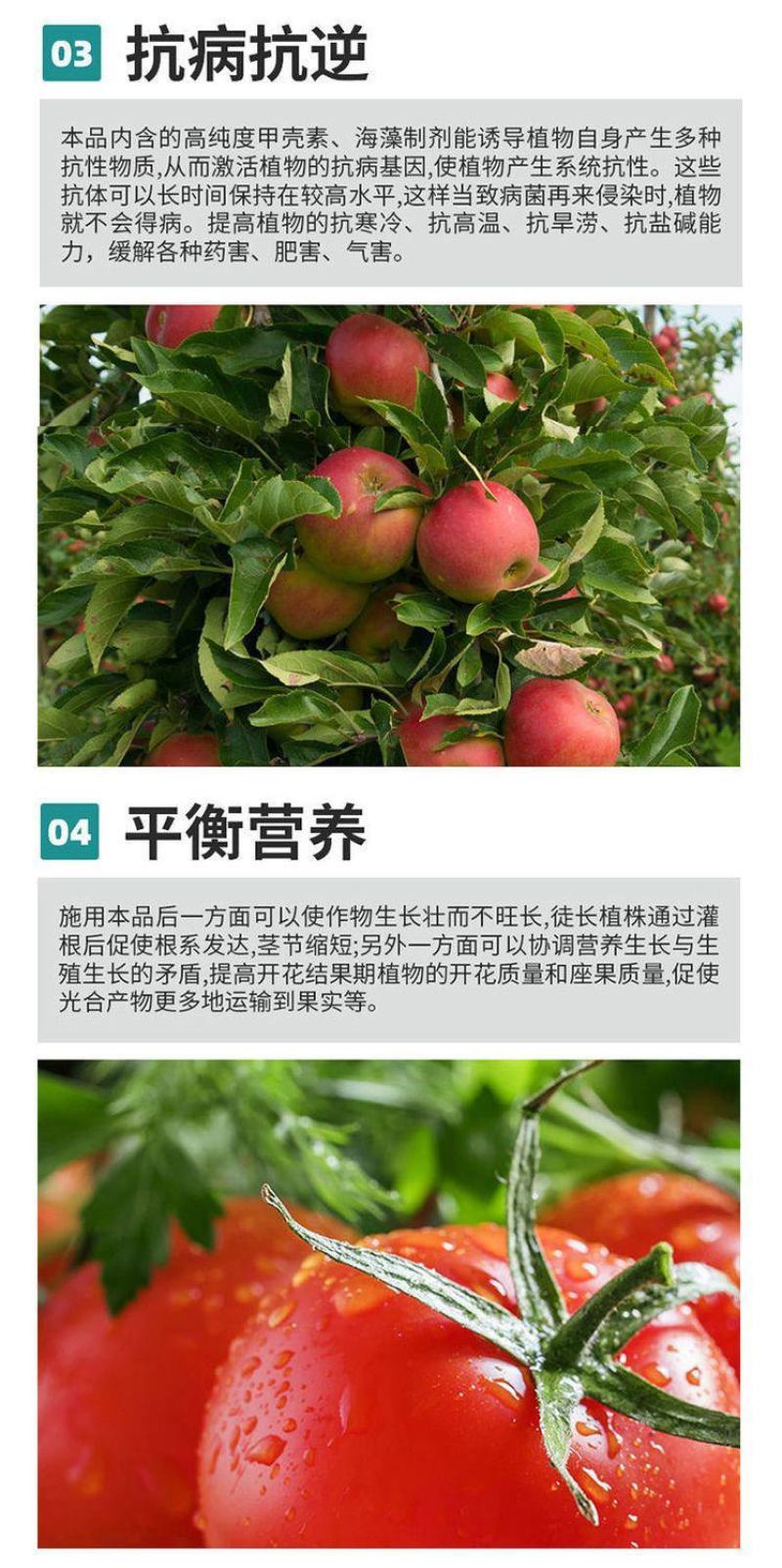 海藻膨果鱼蛋白增产桶装肥瓜果蔬菜柑橘水溶肥防裂果