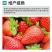 甲壳素黄腐酸钾生根膨果预防裂果增亮上色冲施肥水溶肥