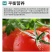 甲壳素黄腐酸钾生根膨果预防裂果增亮上色冲施肥水溶肥