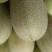庐州蜜大果西州蜜种子哈蜜瓜种子白网纹瓜种子18度糖5斤上