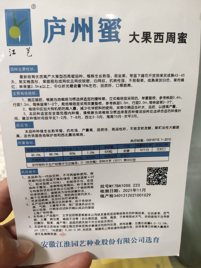 庐州蜜大果西州蜜种子哈蜜瓜种子白网纹瓜种子18度糖5斤上