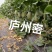 庐州蜜大果西州蜜种子哈蜜瓜种子白网纹瓜种子18度糖5斤上