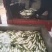 【万亩基地】云南精品白萝卜长期有货稳定货源对接饭店超市档口