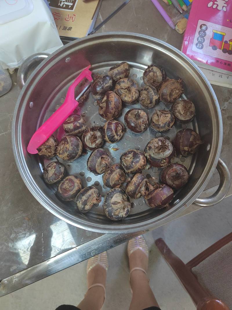 广西桂林恭城马蹄产地直发量大优惠欢迎光临