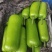 精品瓠瓜，瓠子产地直发颜色绿条形好诚信经营欢迎采购
