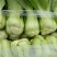 小油菜，上海青按需求提供包装大小均匀无黄叶虫眼