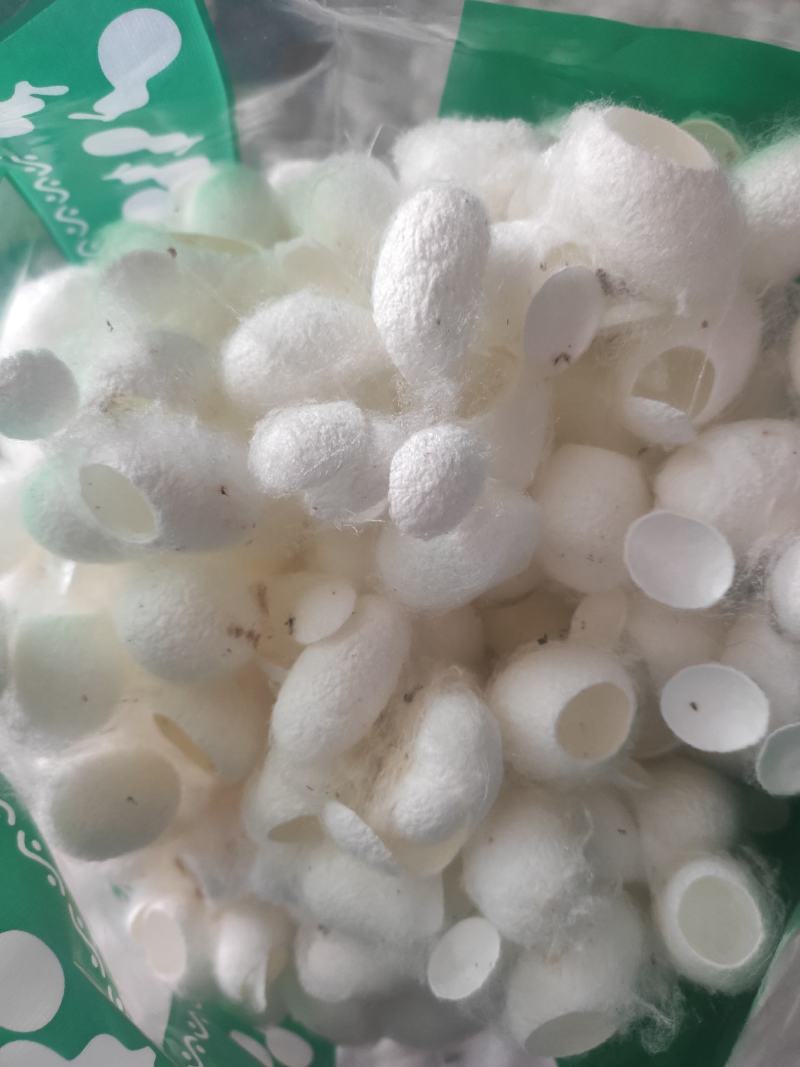 蚕茧干货开口蚕茧干净无杂质欢迎选购！