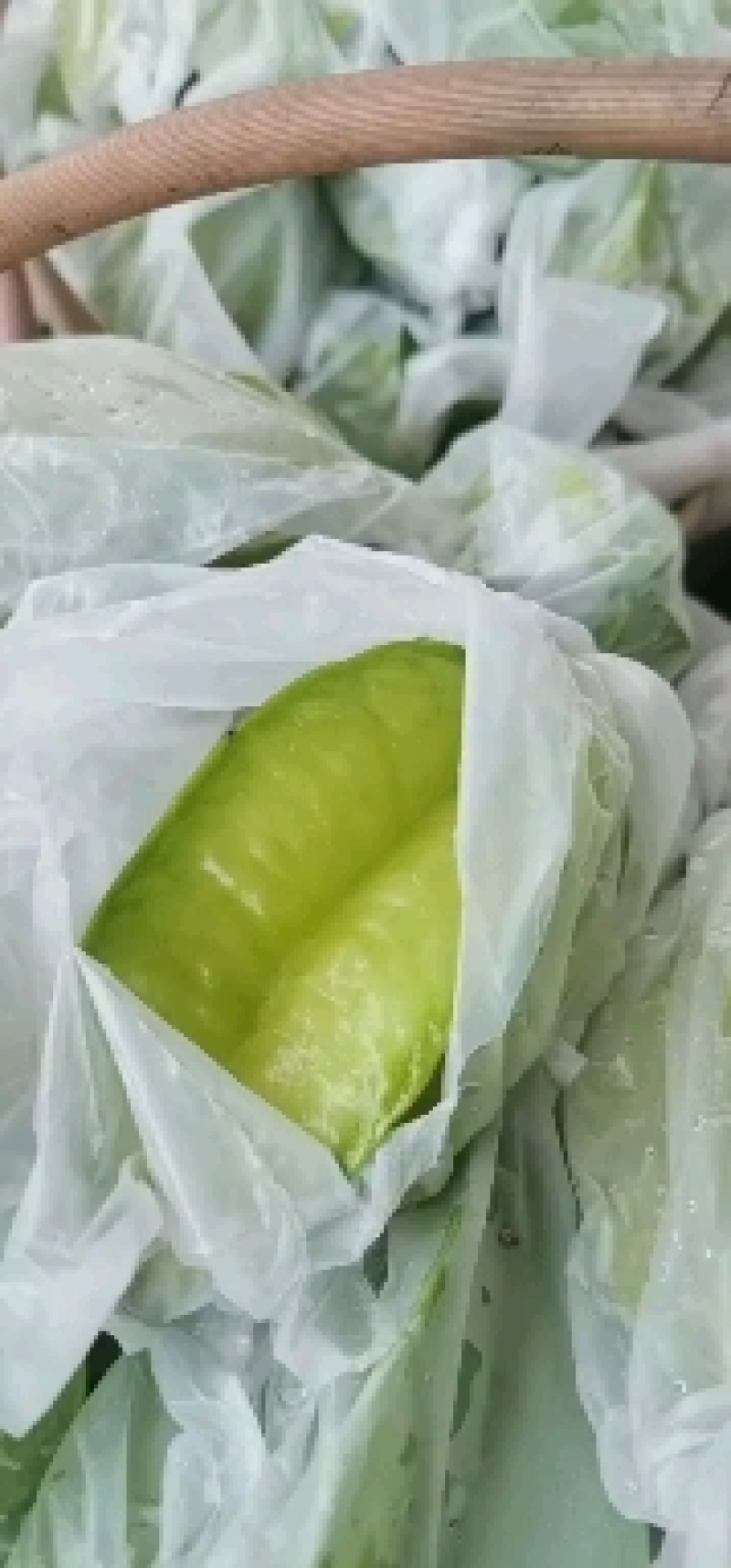 香蜜杨桃，蜜丝杨桃，大量上市，有青果，青白果