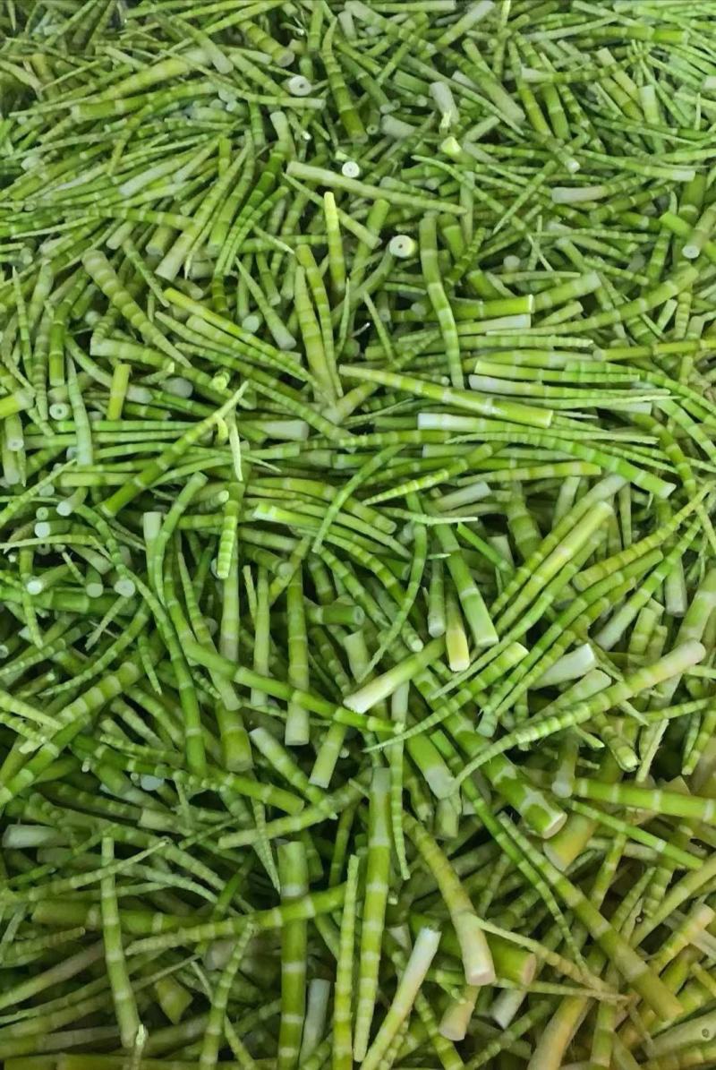 高山绿笋，源于自然，口感细腻，色绿肉厚，食材佳品