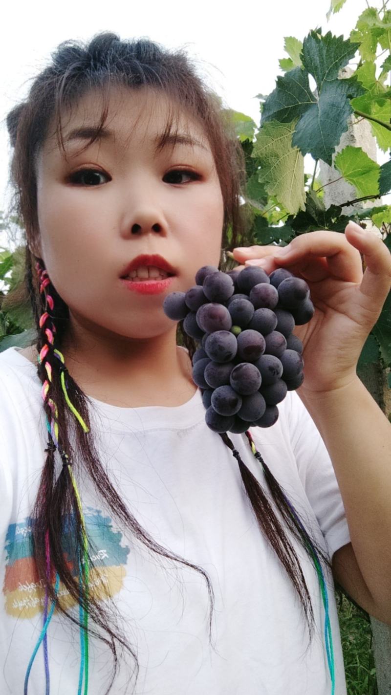 乾陵葡萄，唯一女皇武则天脚下的葡萄，甘甜可口，马上上市