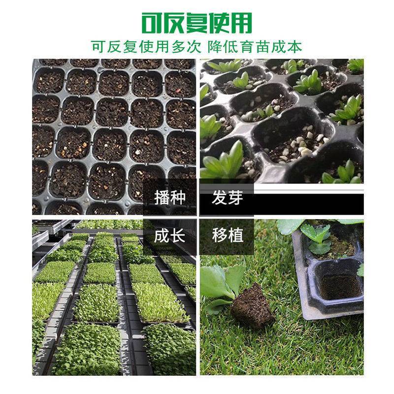 育盘加厚穴盘托盘辣椒西红柿玉米育秧育种插扦加深培育盘批发
