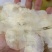 木蝴蝶千张纸泡茶药用毛鸦船玉蝴蝶大量供应一件代发
